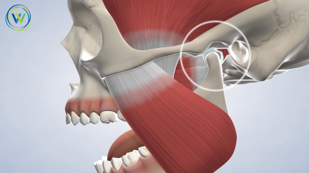 Jaw 3d with blue background