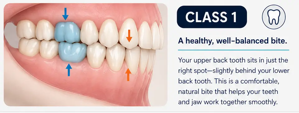 class 1 bite graphic with text on the right and teeth graphic on the left